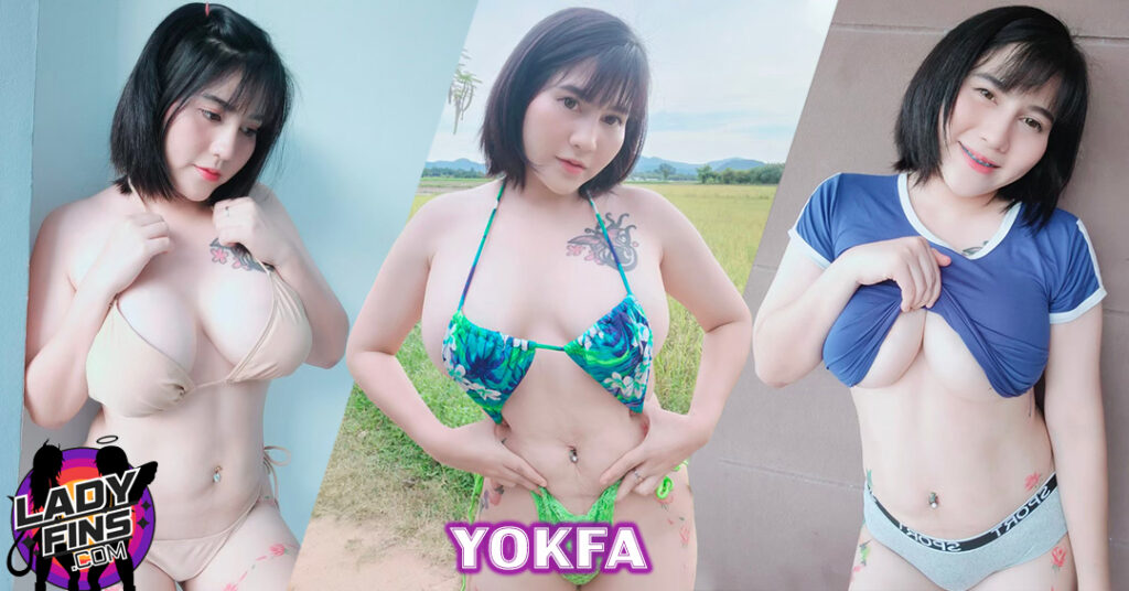 yokfa