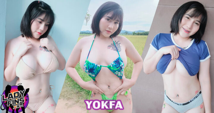 เปิดวาร์ป yokfa โคโยตี้ สาวอวบ ดาวทวิต หุ่นแซ่บ ลีลาเด็ด สุดร้อนแรง